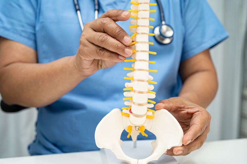 Doctor holding a lumbar vertebra, bone skeleton, and nerve model in an orthopedic department